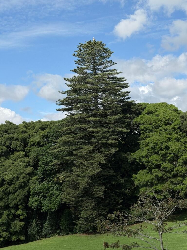 IMG 20260421 WA0047 768x1024